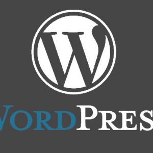Рекомендуемые статьи на WordPress без плагина